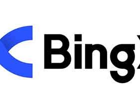 BingX: Navigating the Cryptocurrency Trading Landscape